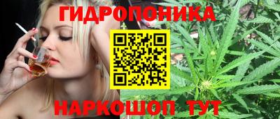 apvp Ипатово
