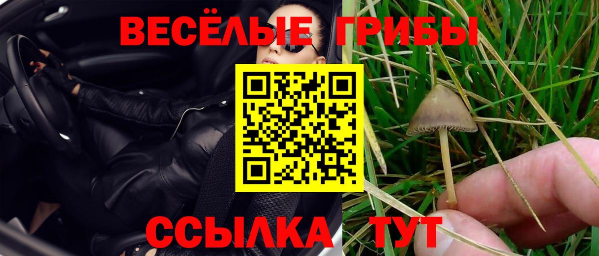 Псилоцибиновые грибы Magic Shrooms  Вход с VPN  Луховицы 