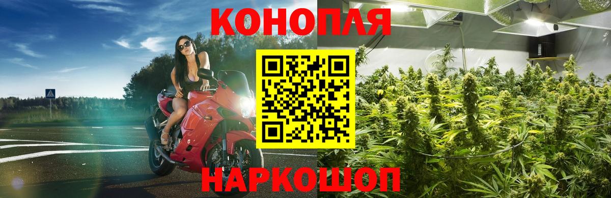 Шишки марихуана семена Луховицы